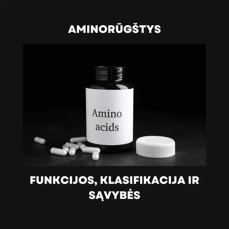 Aminorūgštys - funkcijos, klasifikacija ir sąvybės